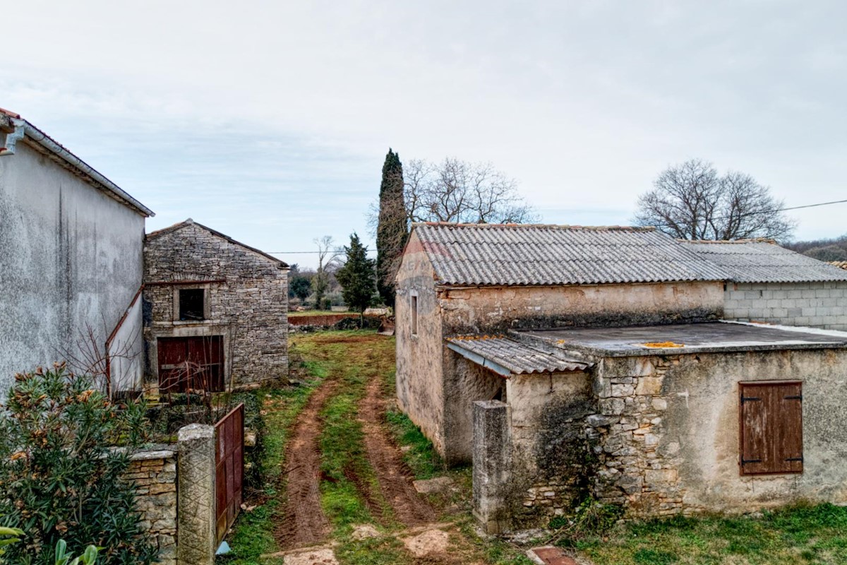 Hiša Šajini, Barban, 255m2