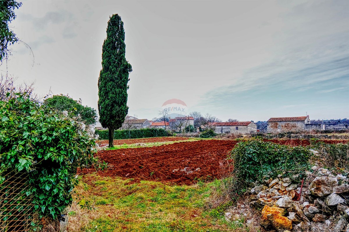 Hiša Šajini, Barban, 255m2