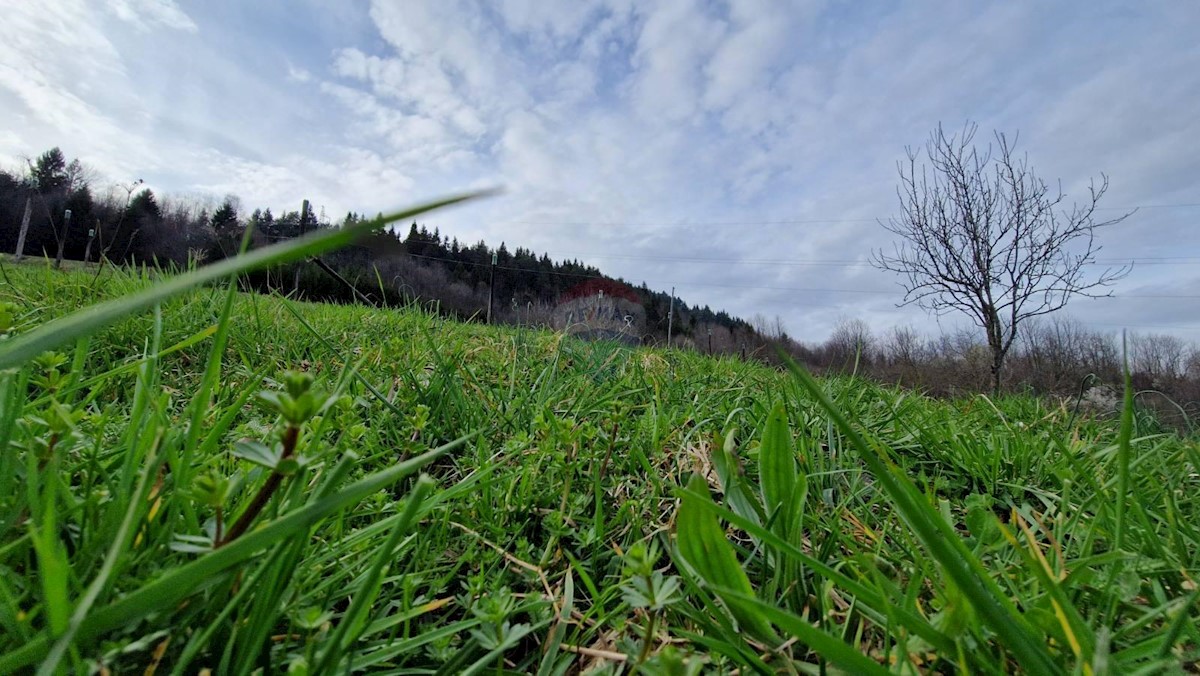 Stavbno zemljišče Vujnovići, Vrbovsko, 7.000m2