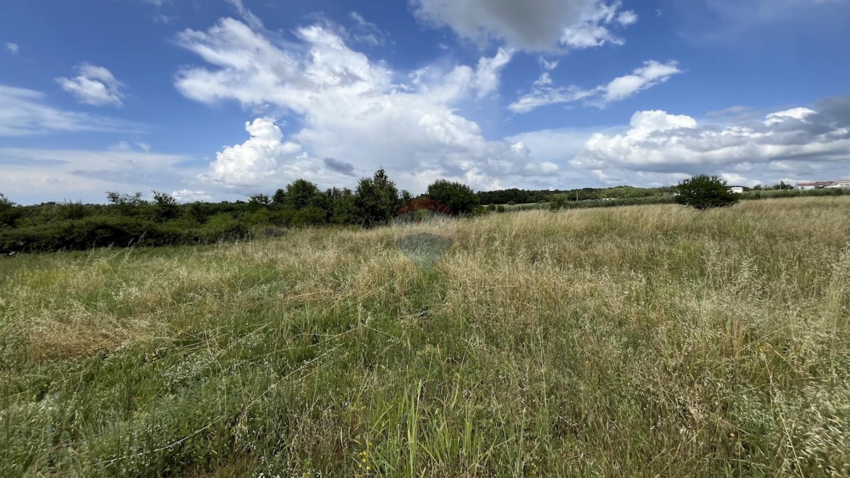 Stavbno zemljišče Višnjan, 10.399m2