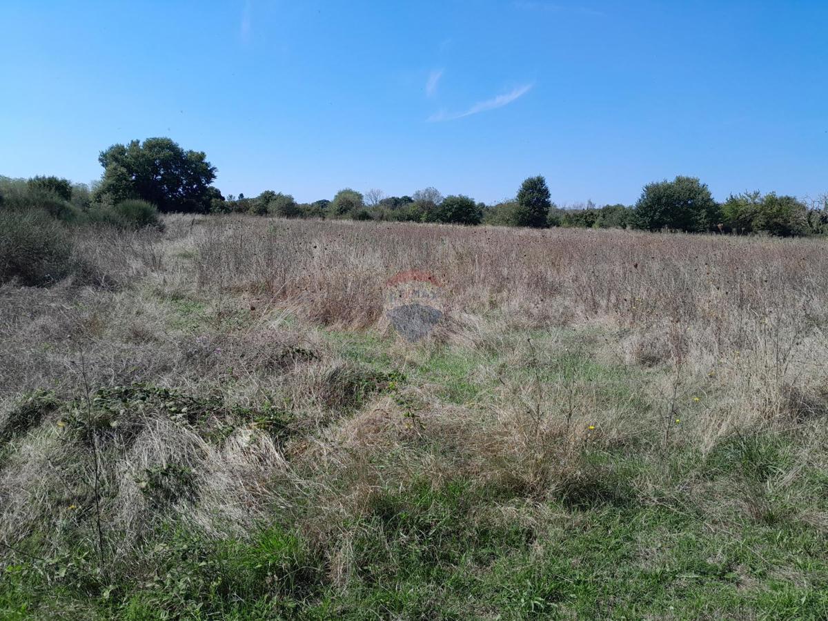 Stavbno zemljišče Marčana, 1.625m2