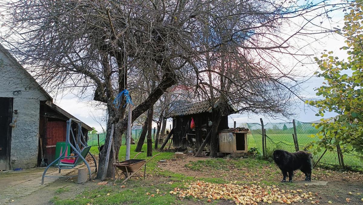 Hiša Jezero I Dio, Plaški, 190m2