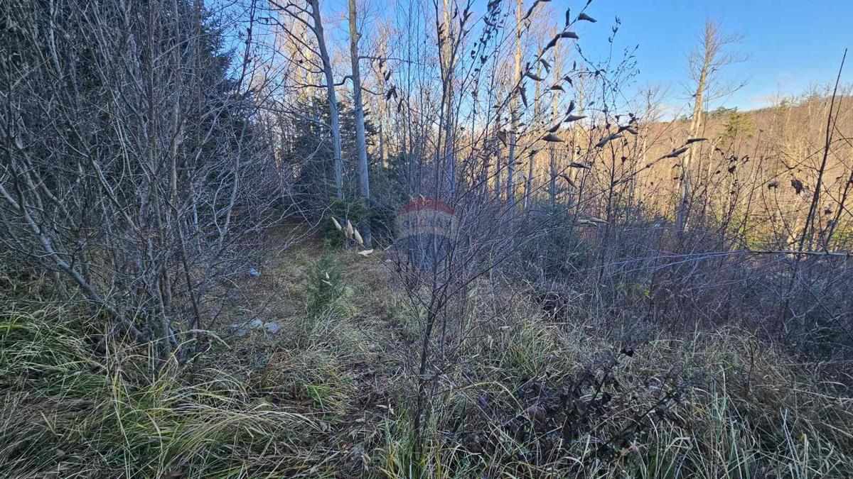 Stavbno zemljišče Lič, Fužine, 740m2