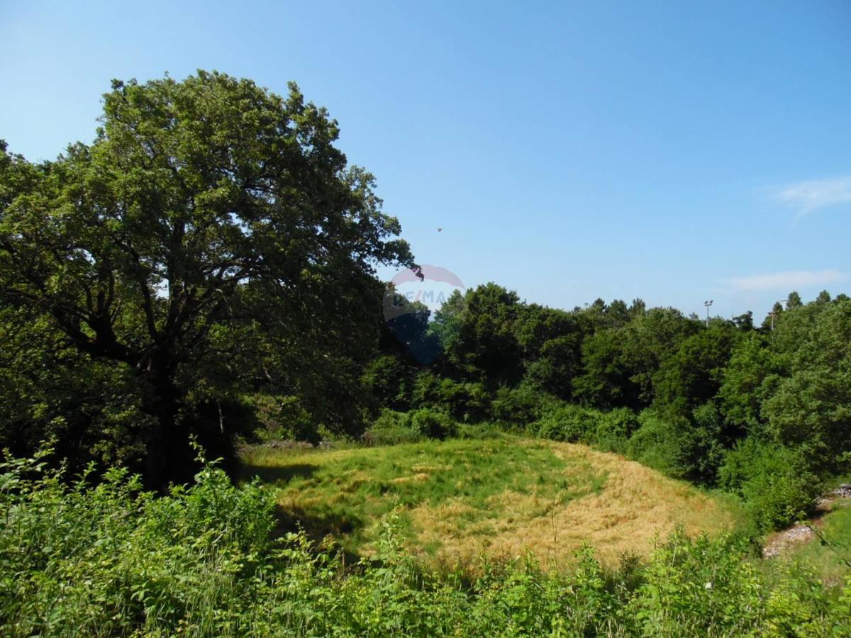 Marići, Kanfanar, 3.730m2