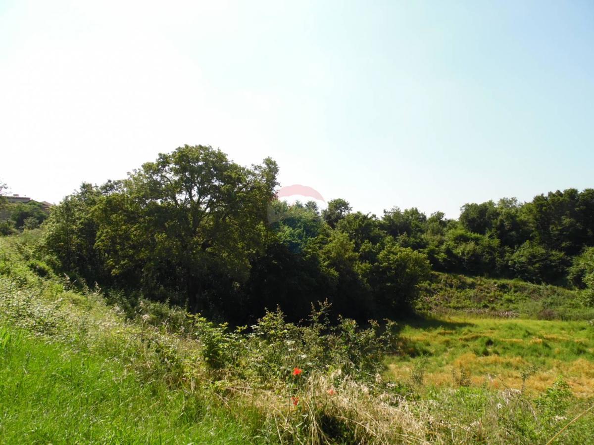 Marići, Kanfanar, 3.730m2