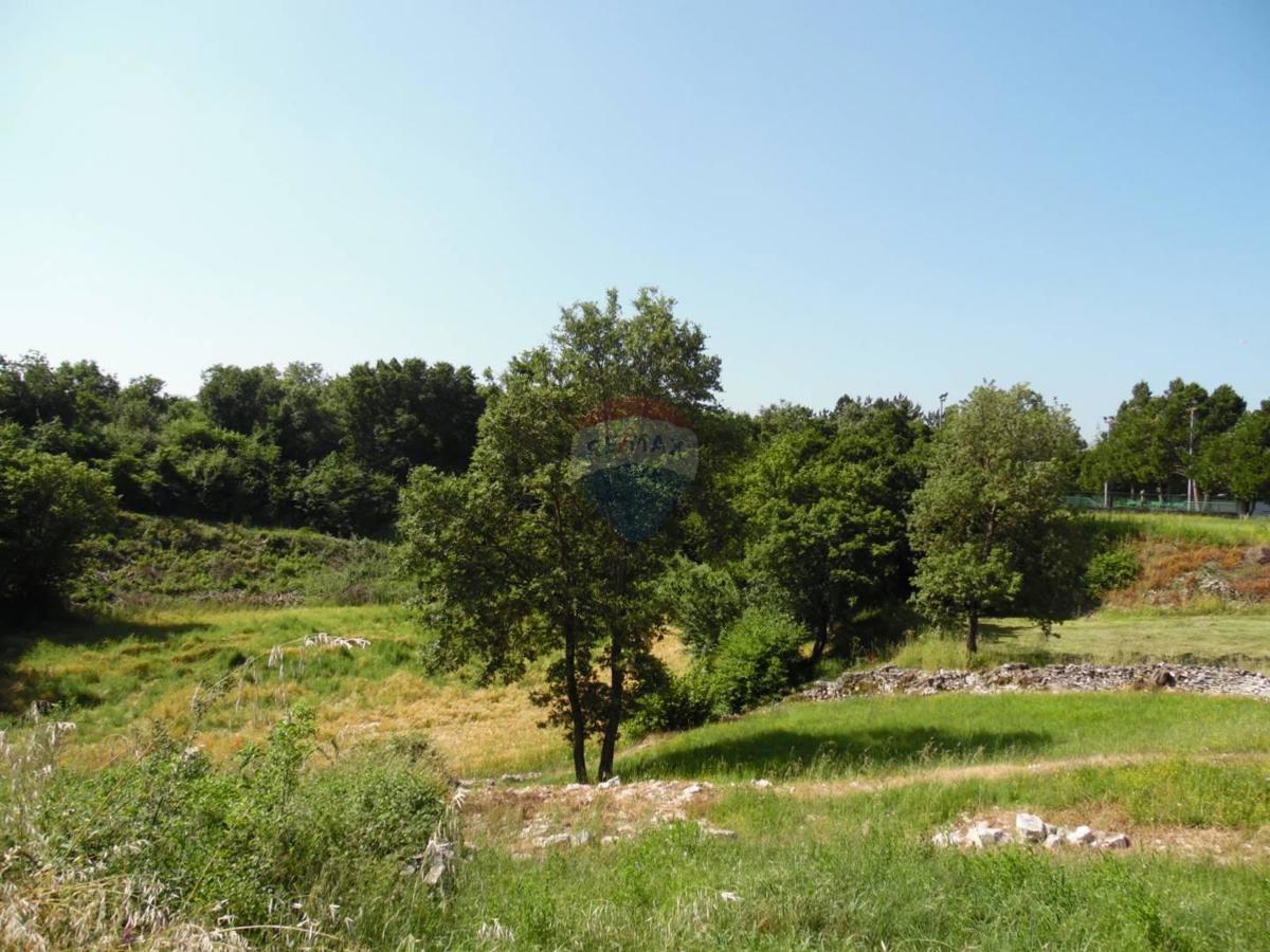 Marići, Kanfanar, 3.730m2