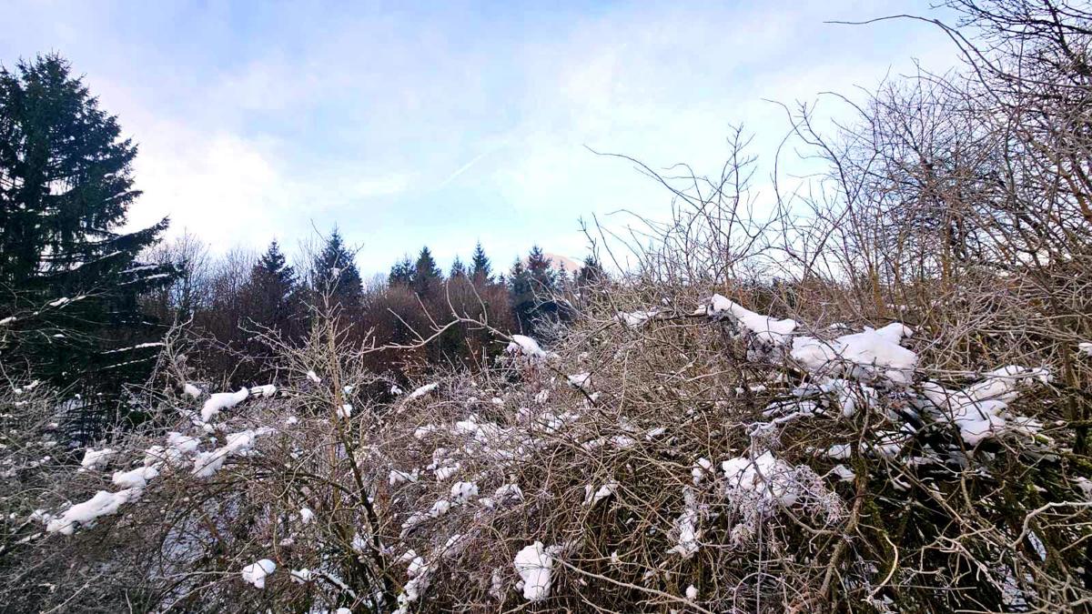 Gradbena parcela, Gorski Kotar, 758 m², Brod Moravice 