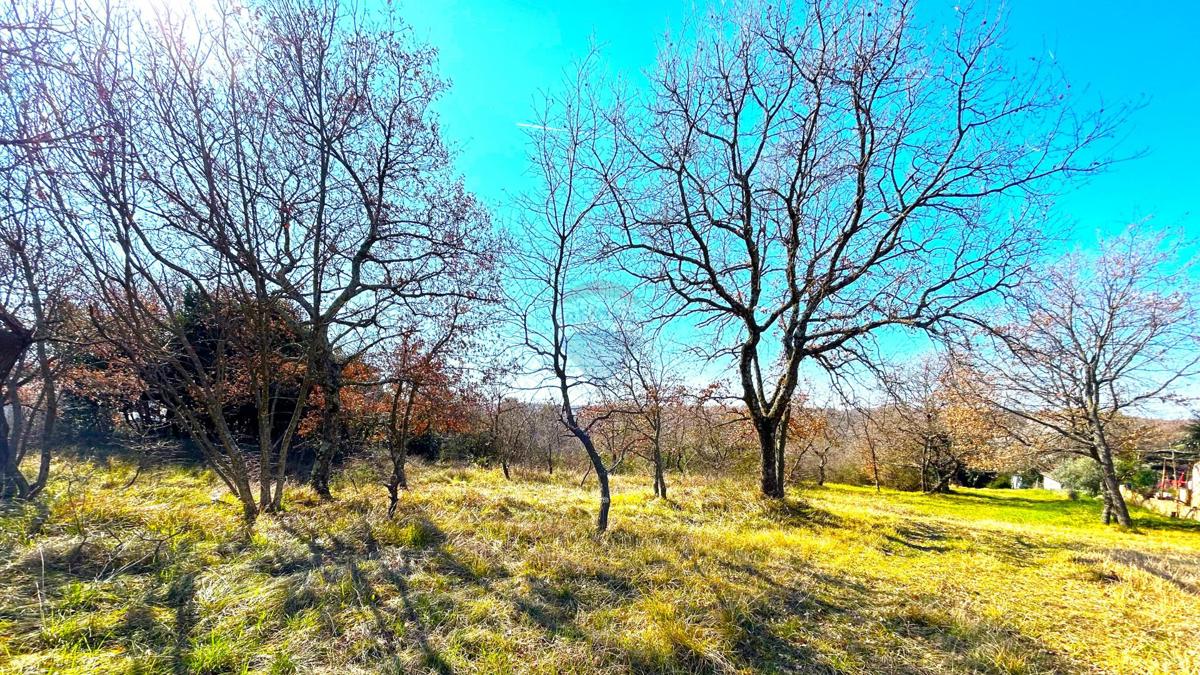 Stavbno zemljišče Savudrija, Umag, 8.490m2