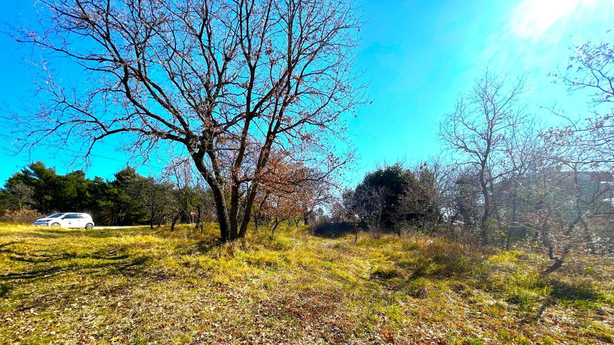 Stavbno zemljišče Savudrija, Umag, 8.490m2