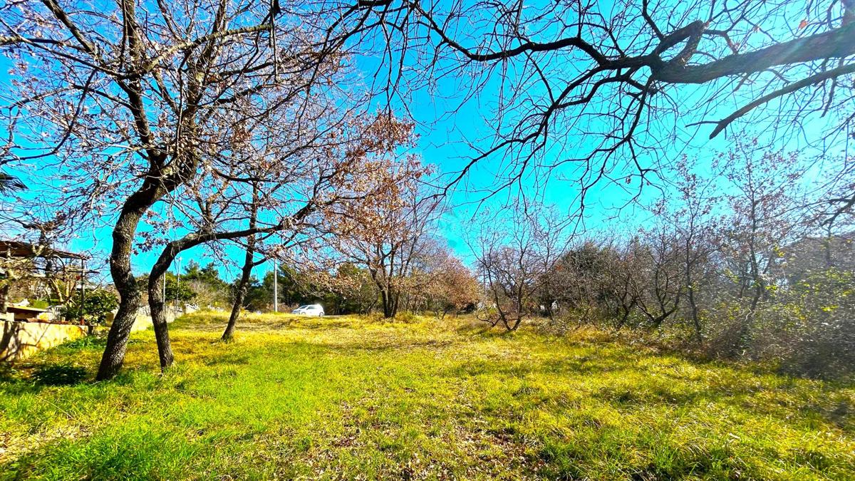 Stavbno zemljišče Savudrija, Umag, 8.490m2