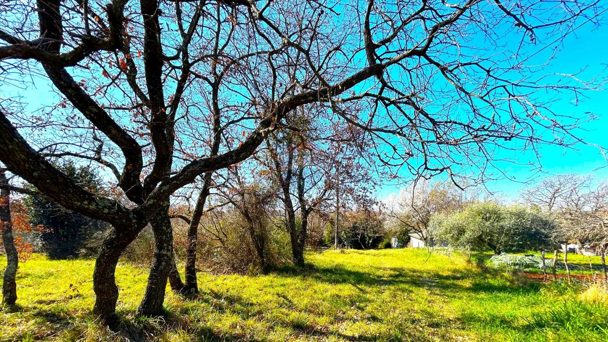 Stavbno zemljišče Savudrija, Umag, 8.490m2