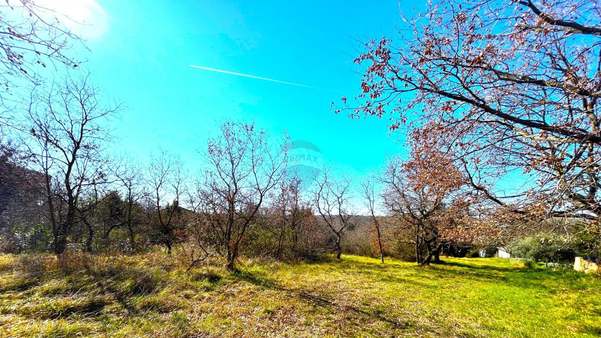 Stavbno zemljišče Savudrija, Umag, 8.490m2