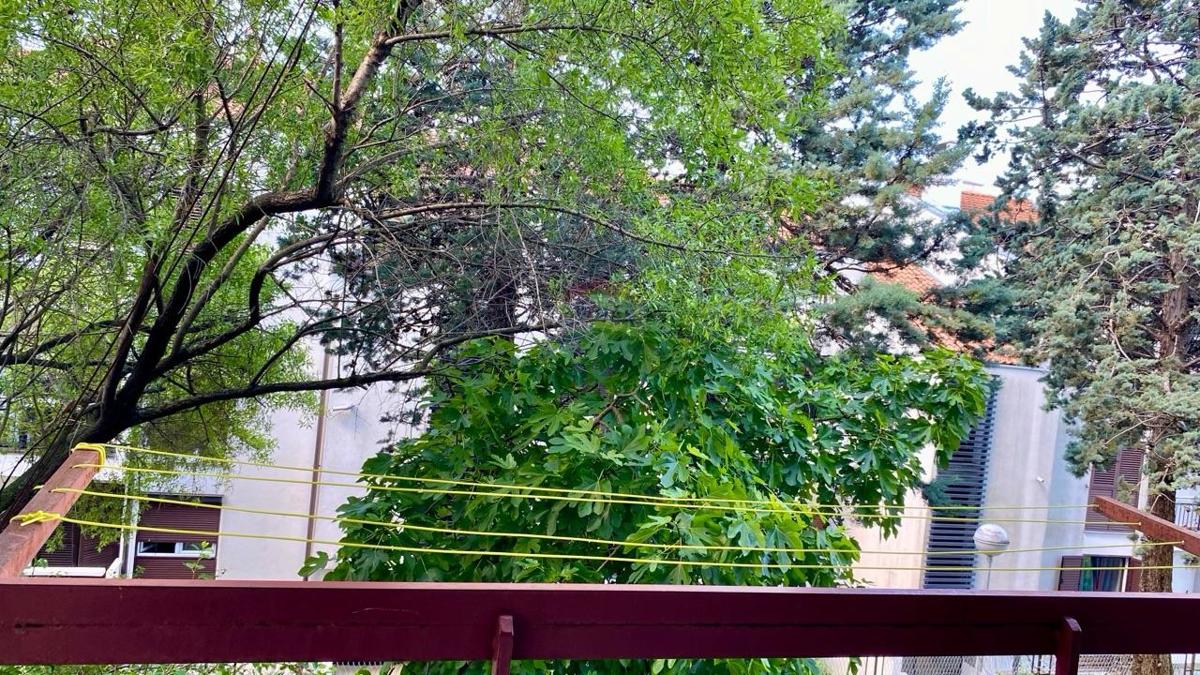 Stanovanje/Apartma Drenova, Rijeka, 55,49m2