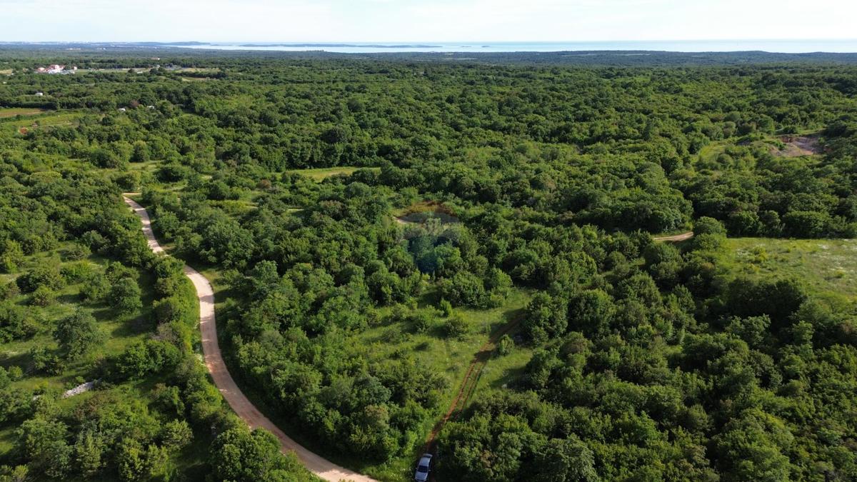 ISTRIA, BALE - agricultural land in a nice position