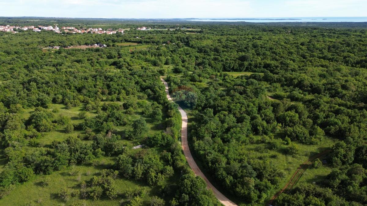 ISTRIA, BALE - agricultural land in a nice position