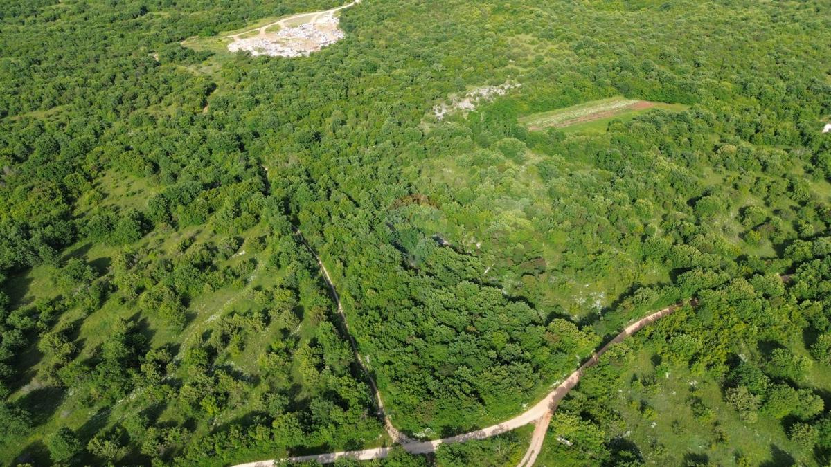 ISTRIA, BALE – Agricultural Land 8570 m²