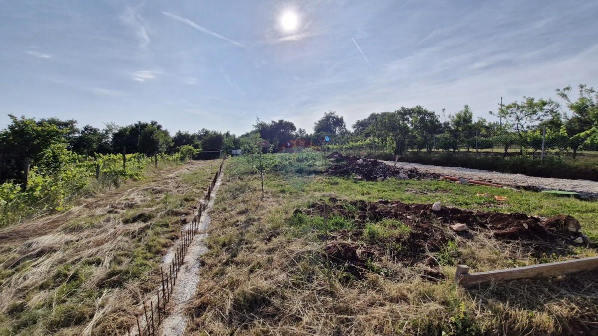 Stavbno zemljišče Domijanići, Žminj, 1.351m2