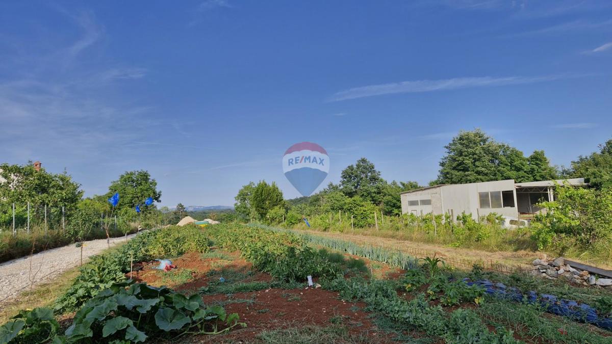 Stavbno zemljišče Domijanići, Žminj, 1.351m2