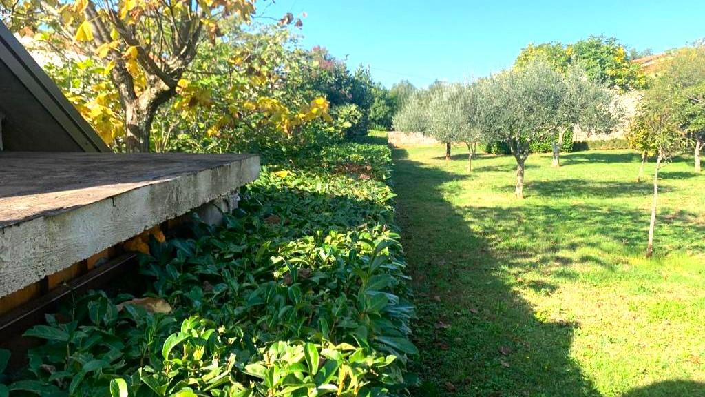 Hiša z veliko parcelo in gradbenim dovoljenjem, le 1,5 km od morja