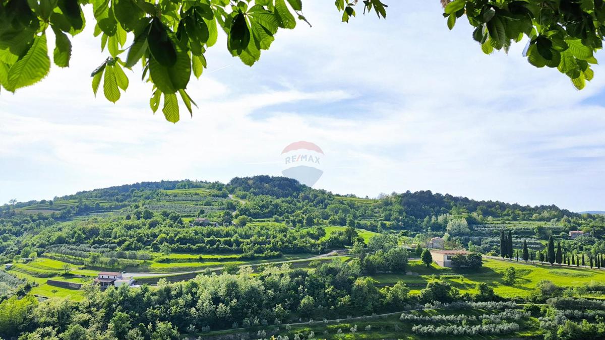 Istra, Oprtalj – Kamnita hiša za prenovo