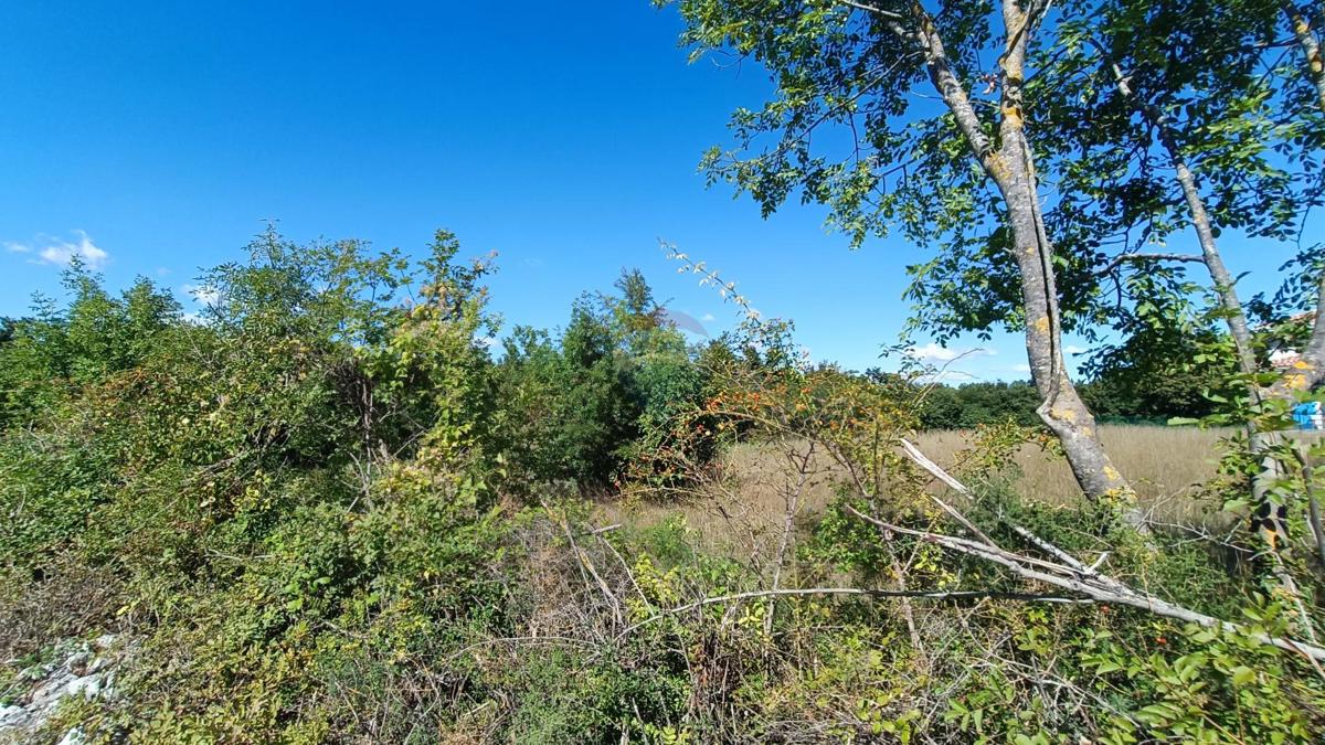 Stavbno zemljišče Žminj, 470m2