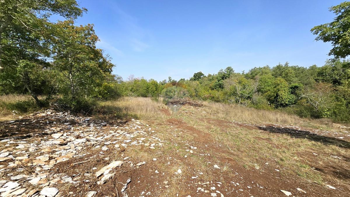 Stavbno zemljišče Kršete, Buje, 16.170m2