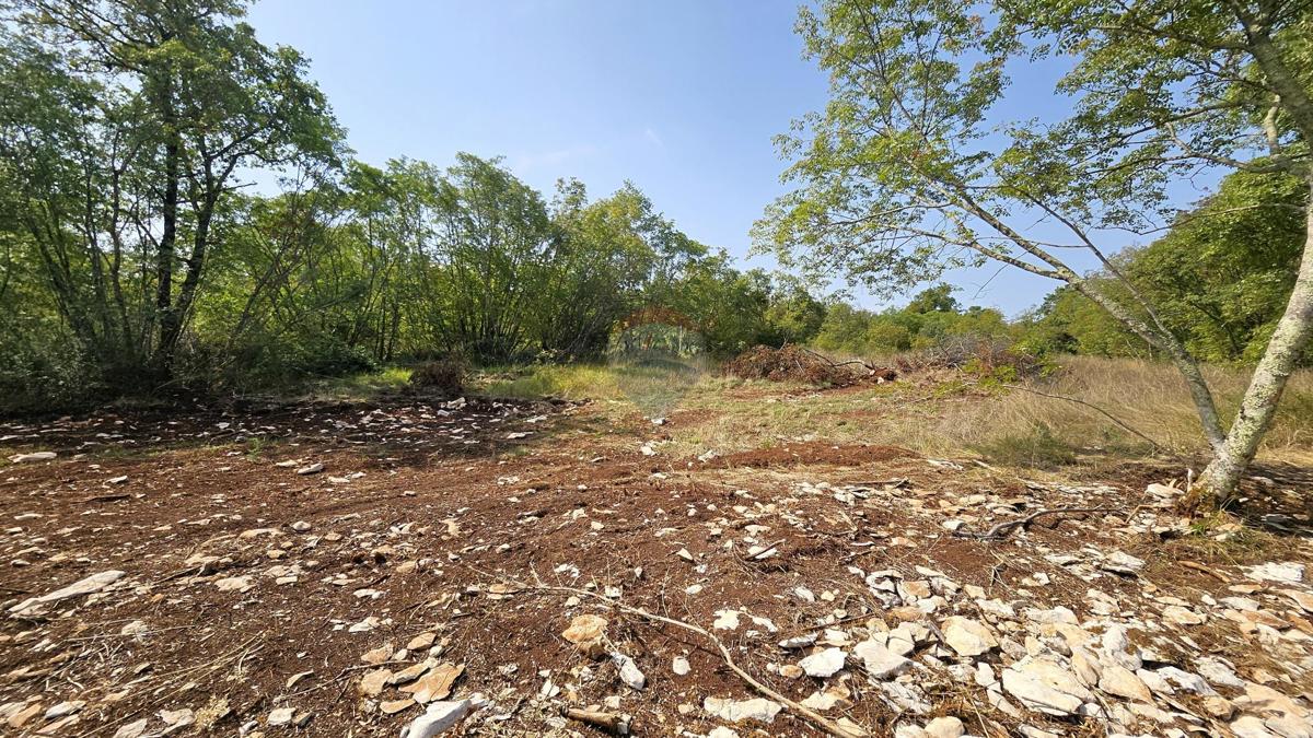 Stavbno zemljišče Kršete, Buje, 16.170m2