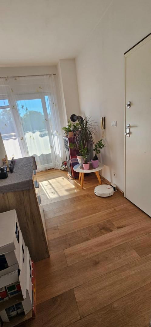 Stanovanje/Apartma Mladenići, Viškovo, 60m2