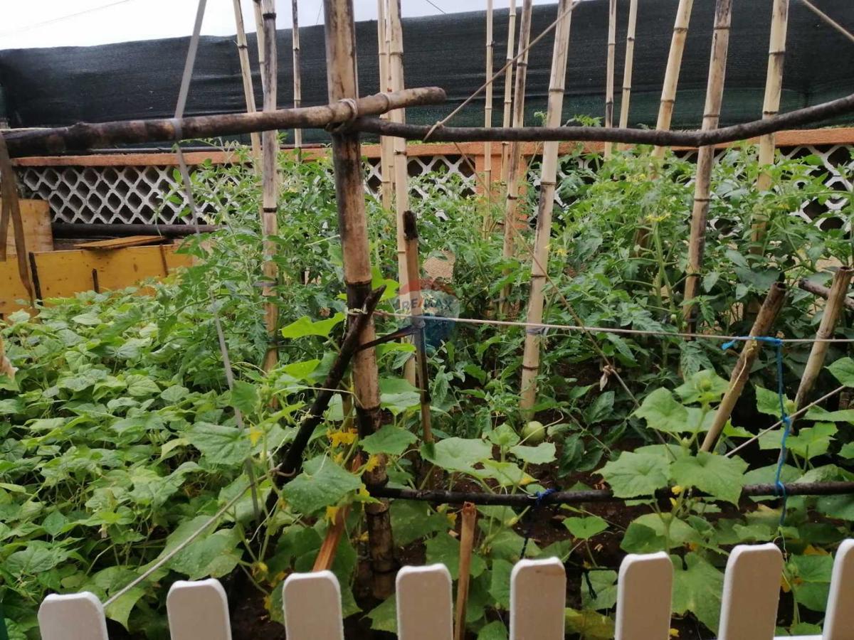 Stanovanje/Apartma Marinići, Viškovo, 96,26m2