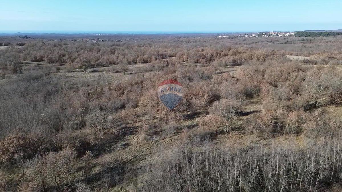 Stavbno zemljišče Baderna, Poreč, 27.086m2