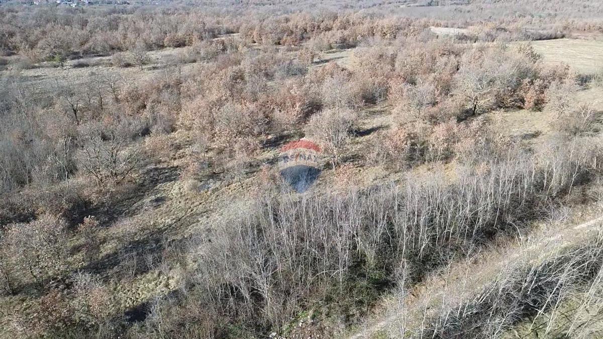 Stavbno zemljišče Baderna, Poreč, 27.086m2