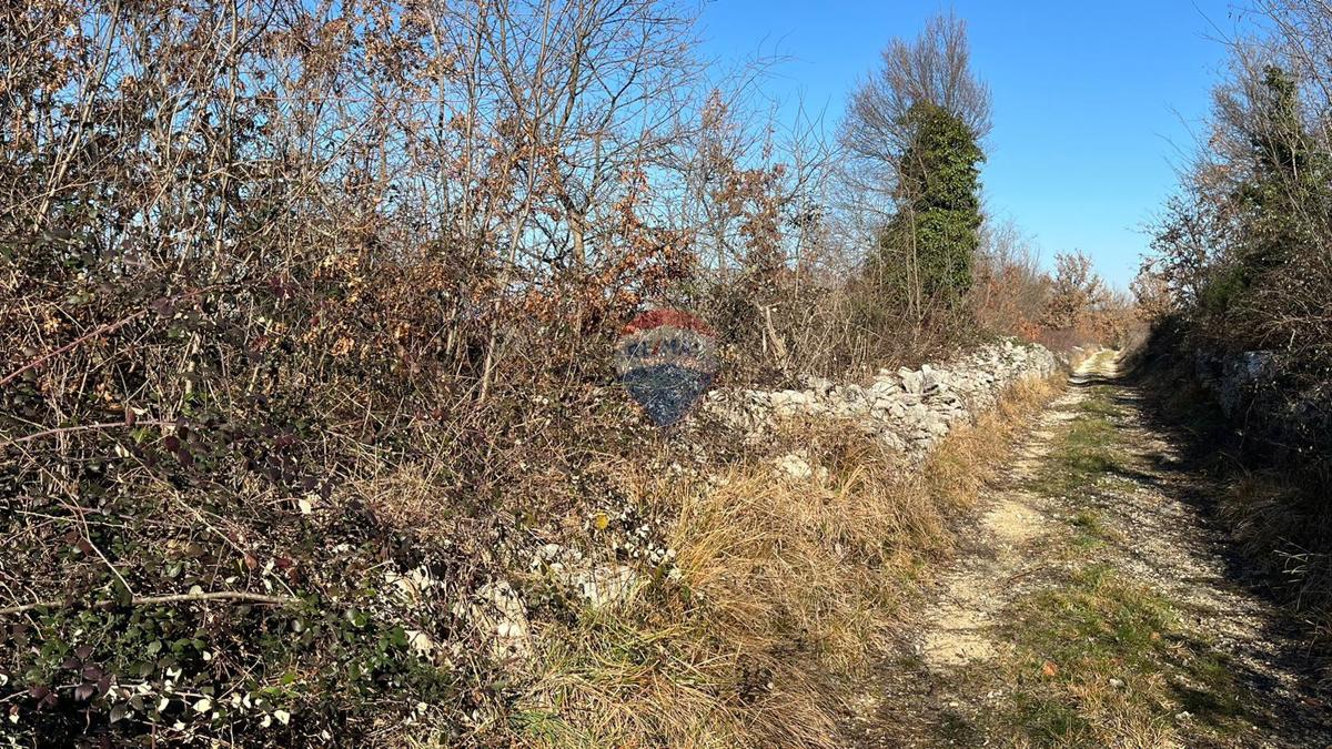 Stavbno zemljišče Baderna, Poreč, 27.086m2