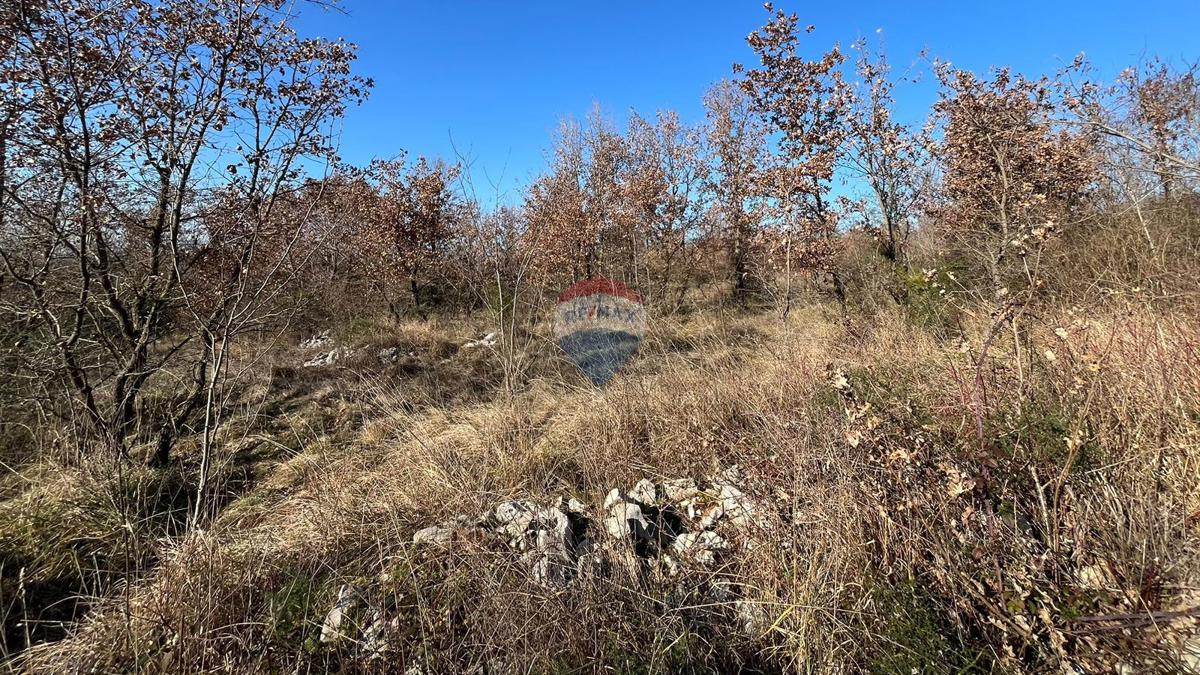 Stavbno zemljišče Baderna, Poreč, 27.086m2