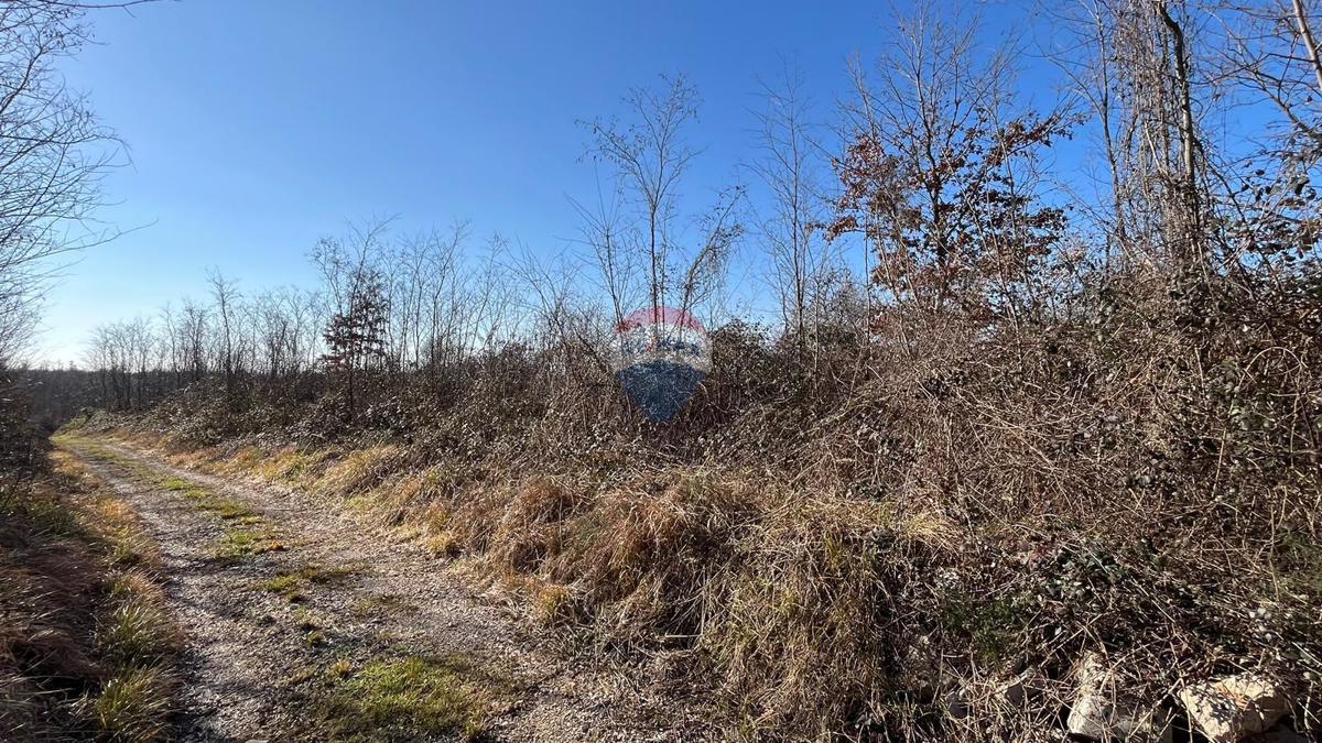 Stavbno zemljišče Baderna, Poreč, 27.086m2