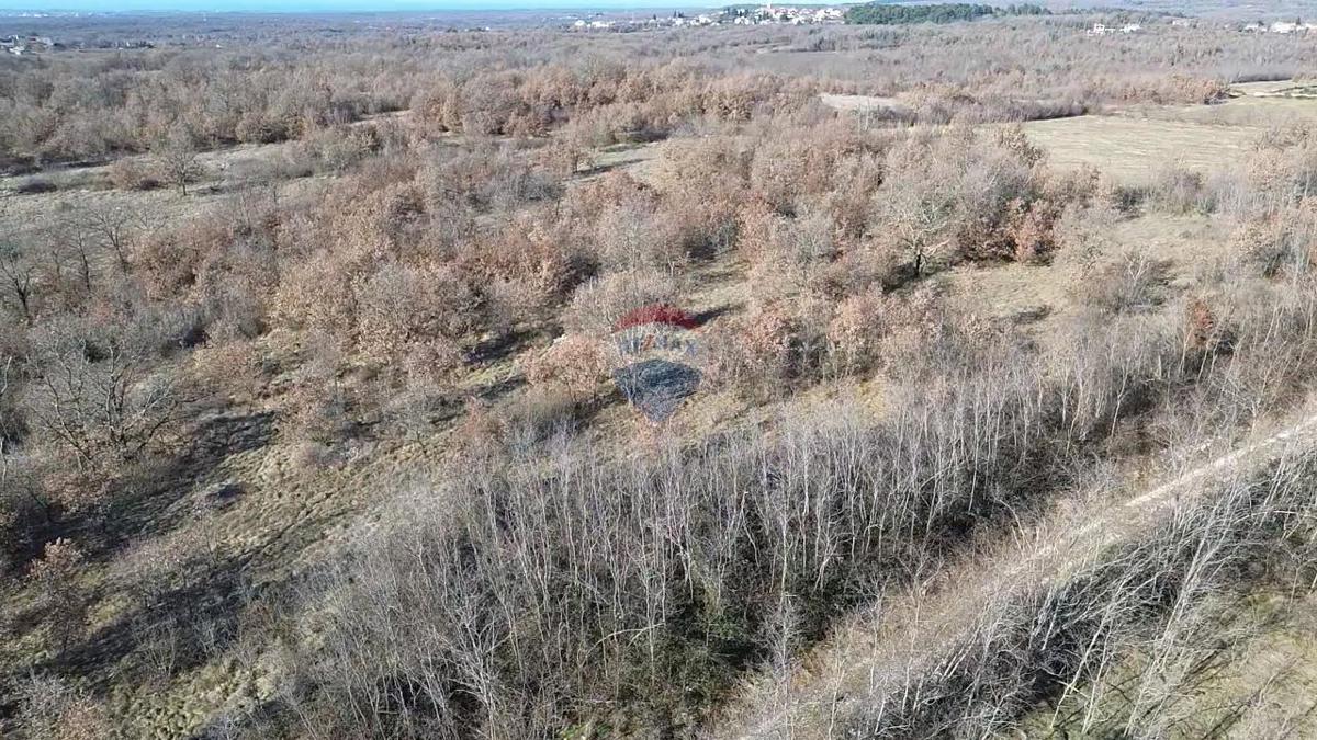 Stavbno zemljišče Baderna, Poreč, 27.086m2