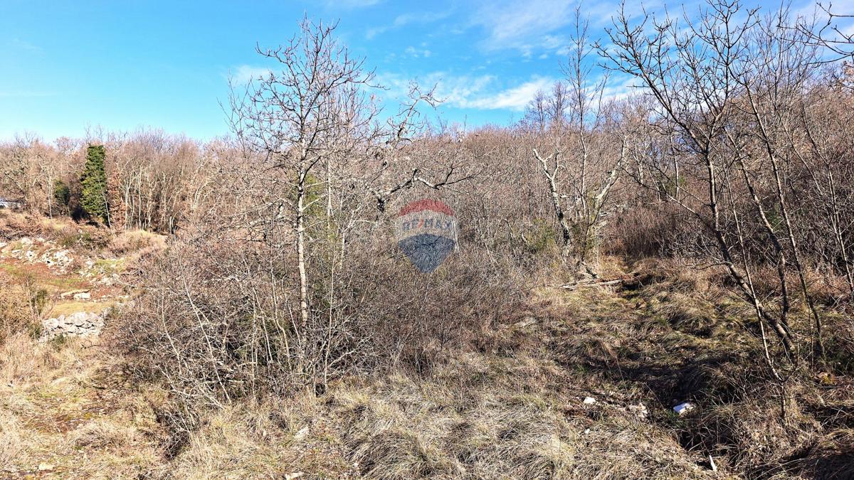 Stavbno zemljišče Momjan, Buje, 4.989m2