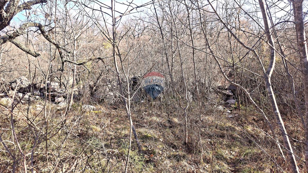 Stavbno zemljišče Momjan, Buje, 4.989m2