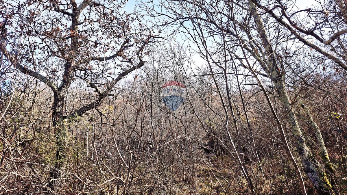 Stavbno zemljišče Momjan, Buje, 4.989m2