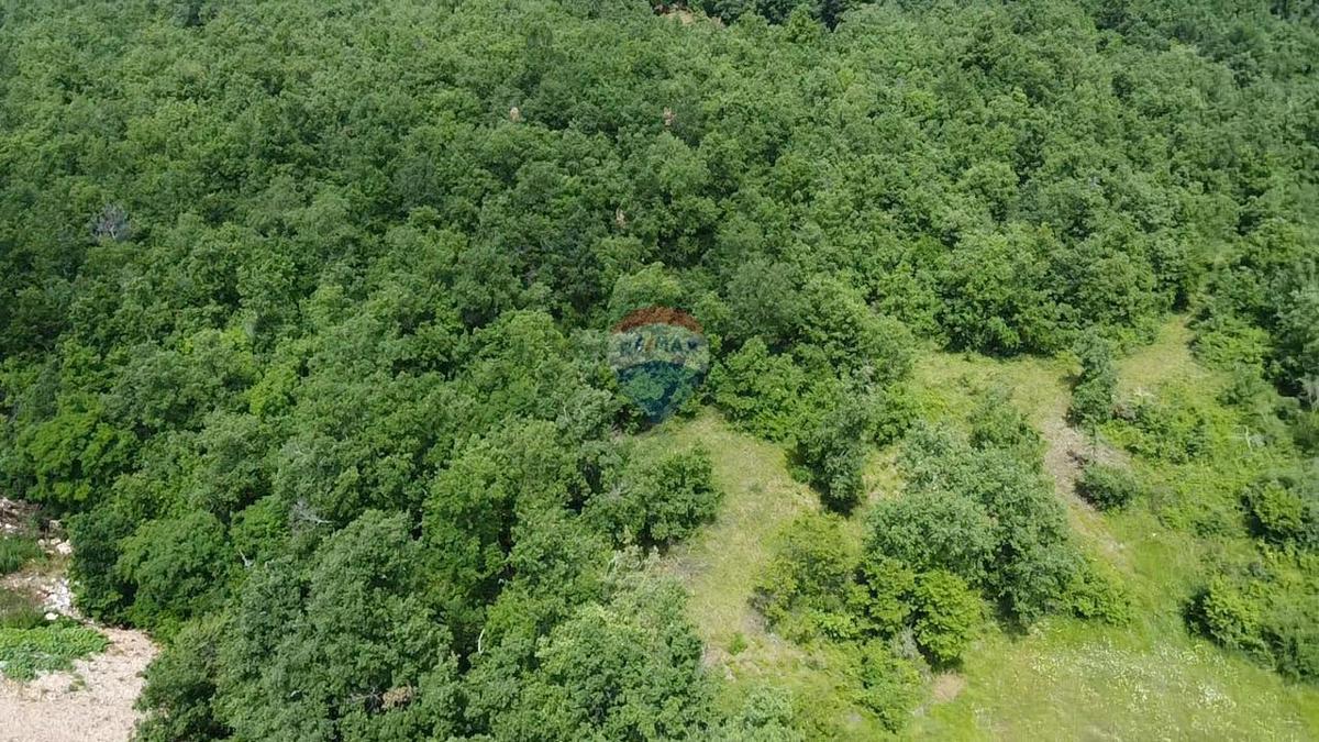 Stavbno zemljišče Gambetići, Višnjan, 7.375m2