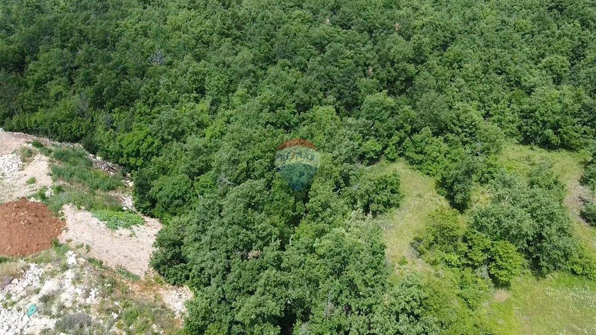 Stavbno zemljišče Gambetići, Višnjan, 7.375m2