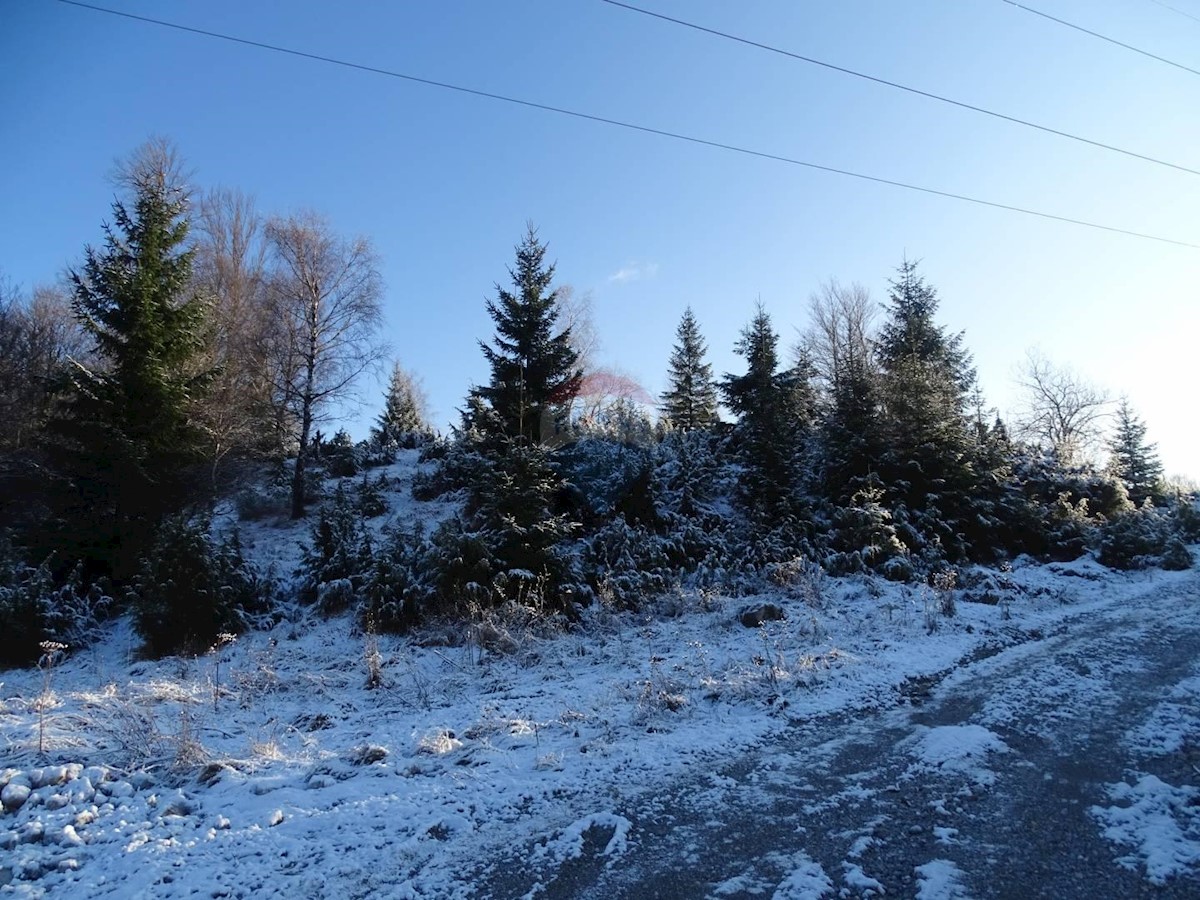 Stari Laz, Ravna Gora, 36.357m2