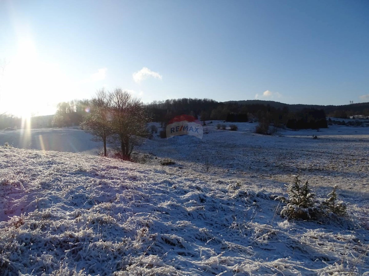 Stari Laz, Ravna Gora, 36.357m2