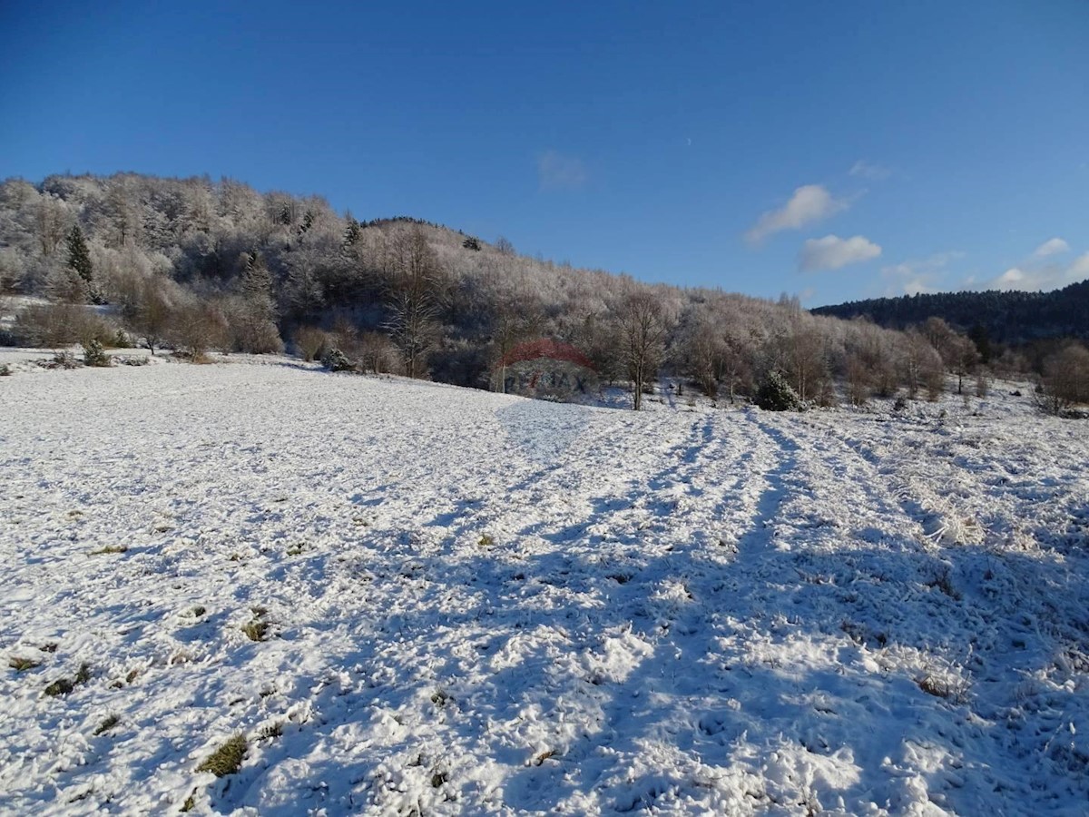 Stari Laz, Ravna Gora, 36.357m2