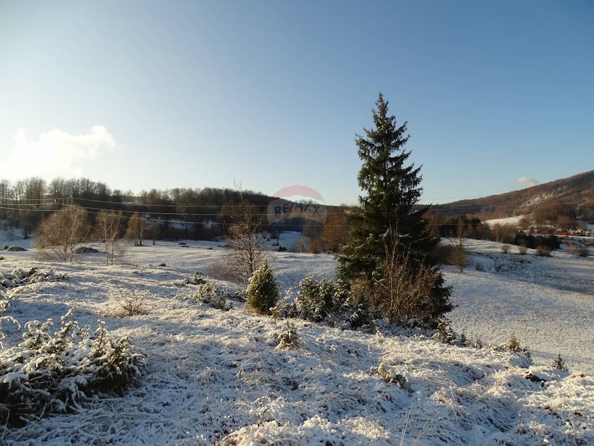 Stari Laz, Ravna Gora, 36.357m2