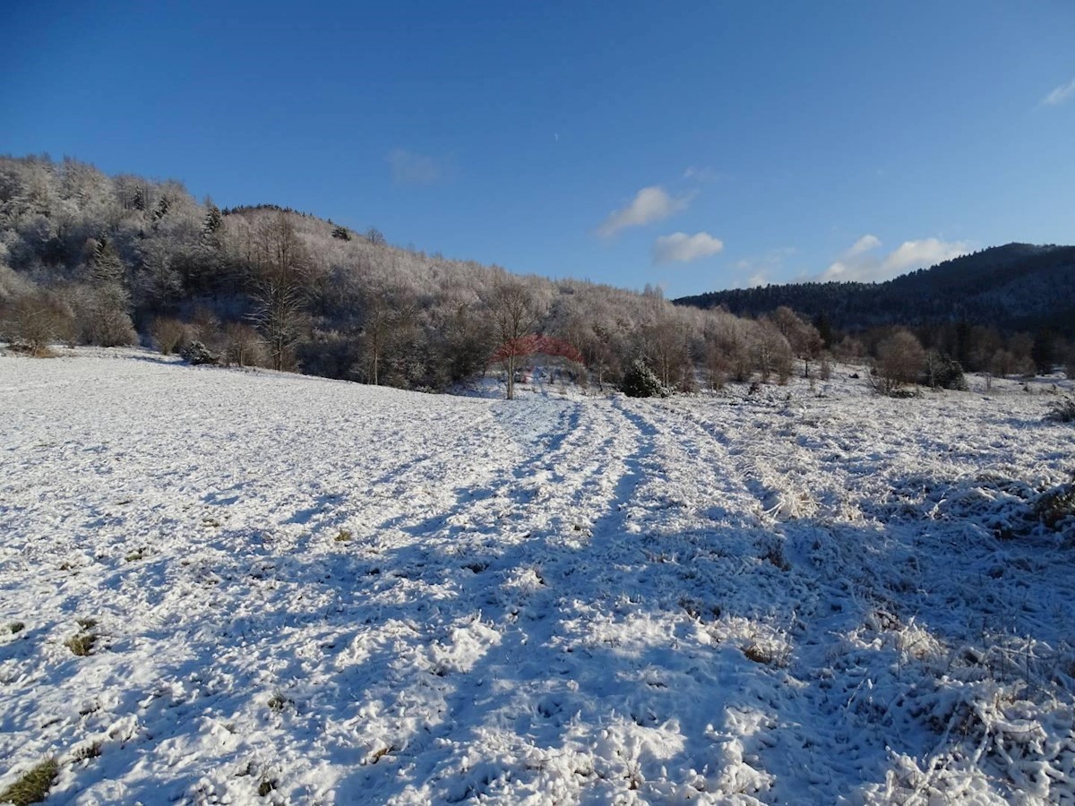 Stari Laz, Ravna Gora, 36.357m2