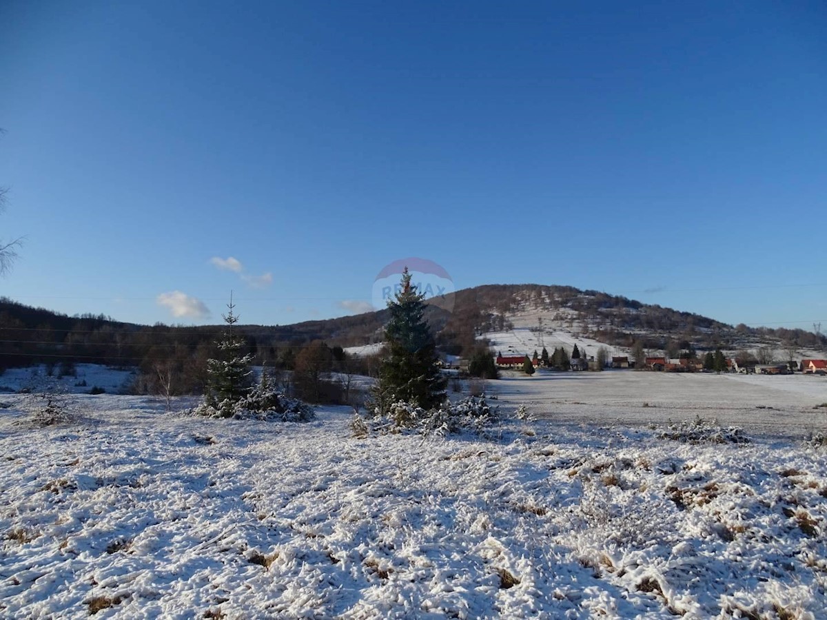 Stari Laz, Ravna Gora, 36.357m2