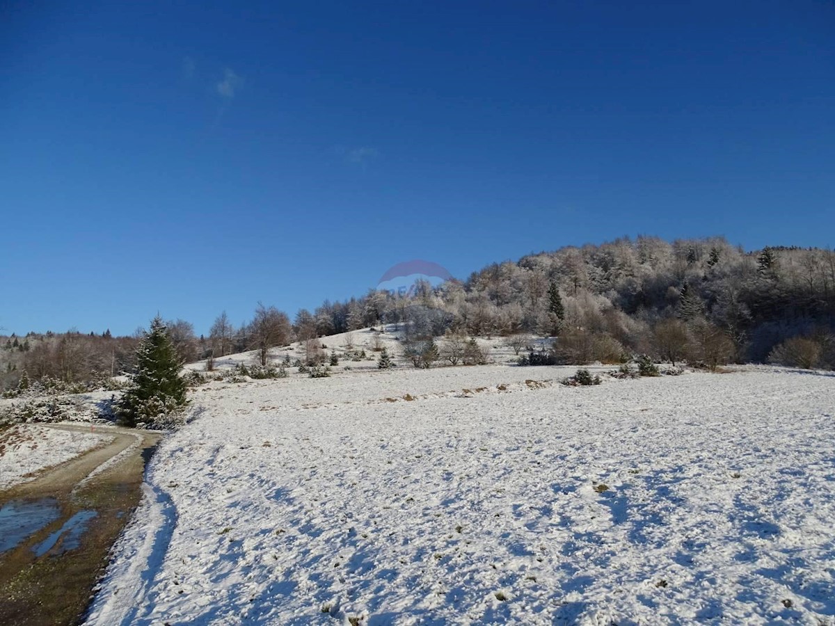 Stari Laz, Ravna Gora, 36.357m2