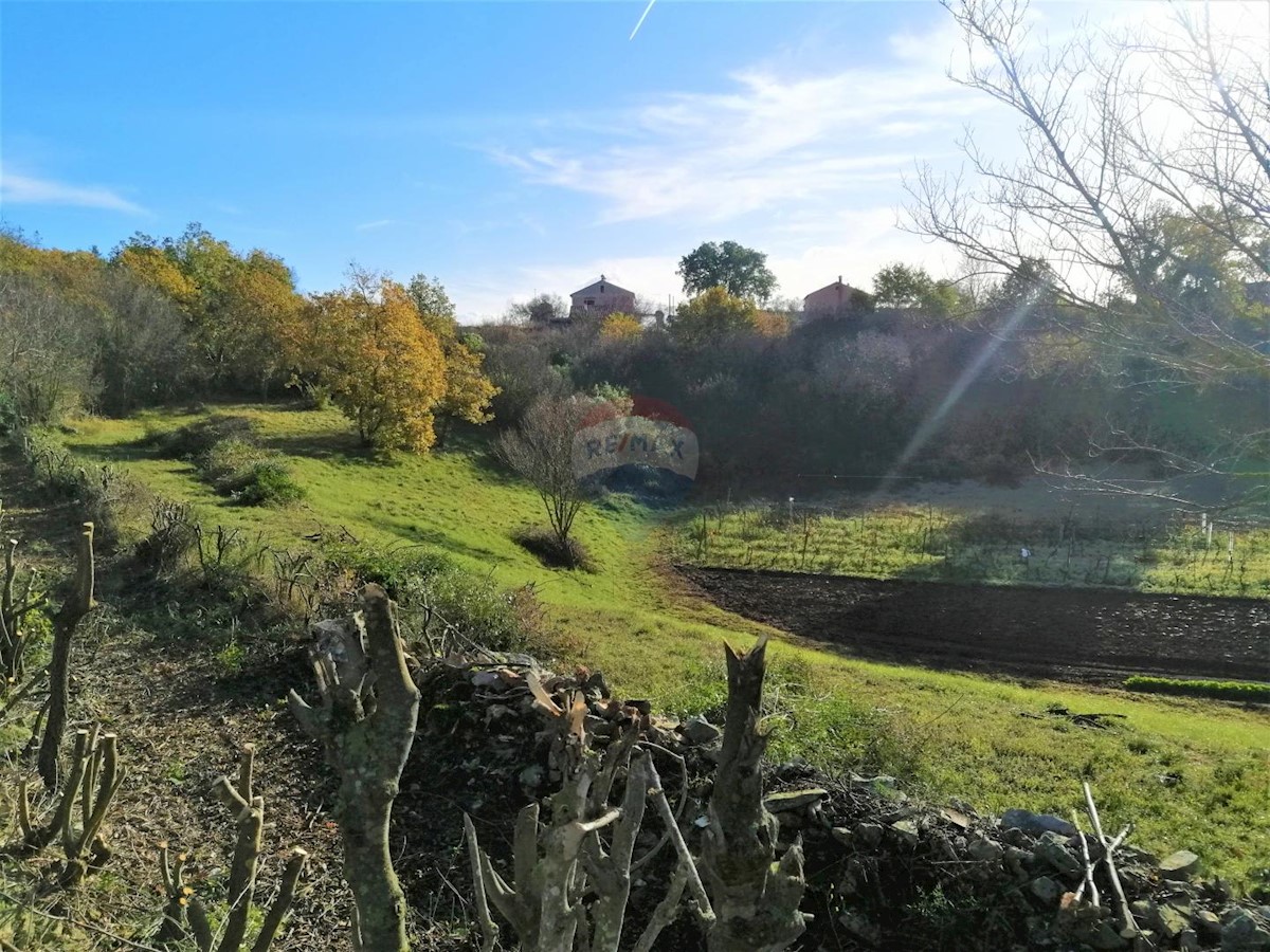 Loborika, Marčana, 2.711m2