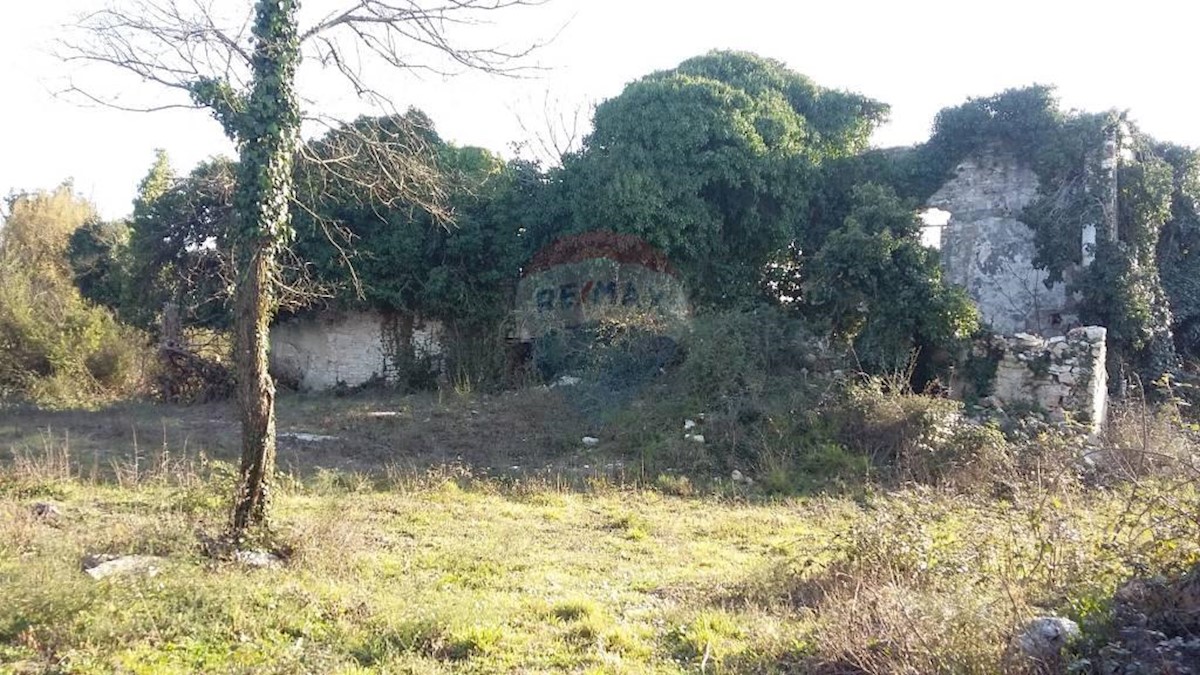 Savudrija, Umag, 1.035m2