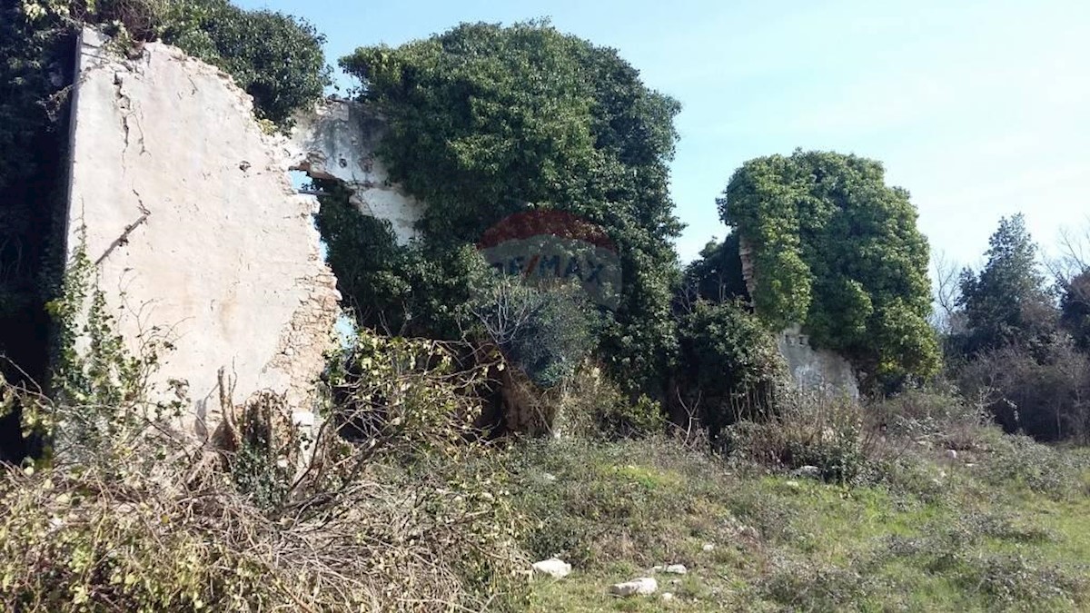 Savudrija, Umag, 1.035m2